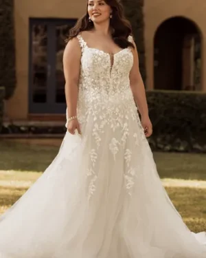 Sophia tolli: Y3151