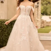 Sophia tolli: Y3168